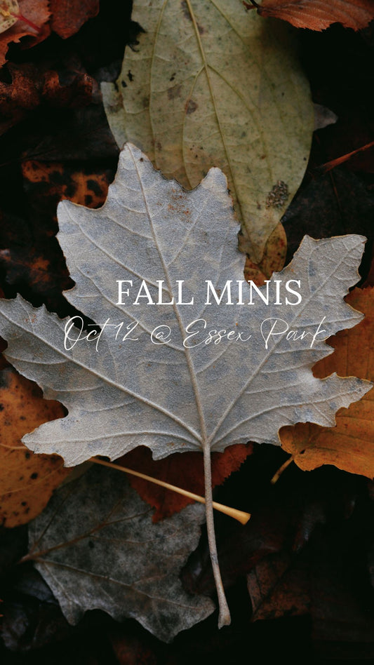 Fall Mini | Retainer
