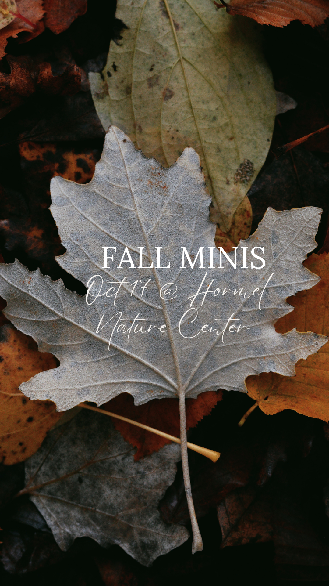 2026 Outdoor Fall Mini | Retainer